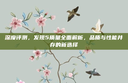 深度评测,发现5质量全面解析,品质与性能并存的新选择