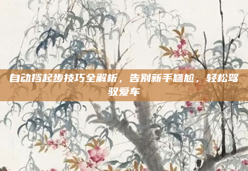 自动挡起步技巧全解析,告别新手尴尬,轻松驾驭爱车