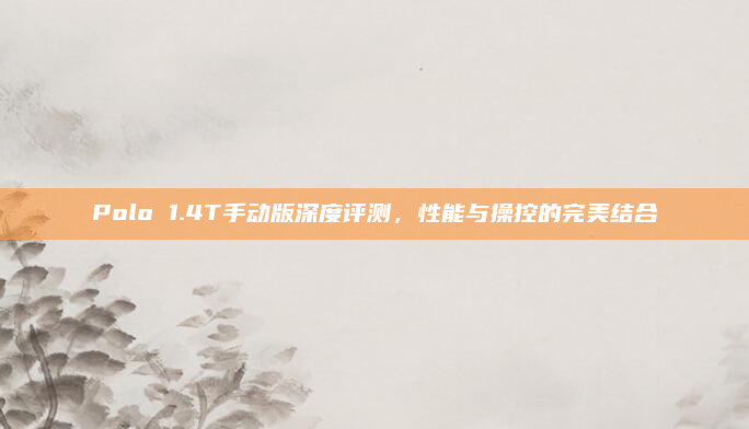 Polo 1.4T手动版深度评测,性能与操控的完美结合