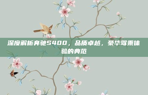 深度解析奔驰S400,品质卓越,豪华驾乘体验的典范