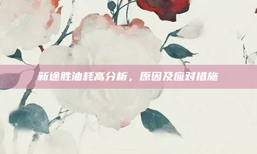 新途胜油耗高分析,原因及应对措施