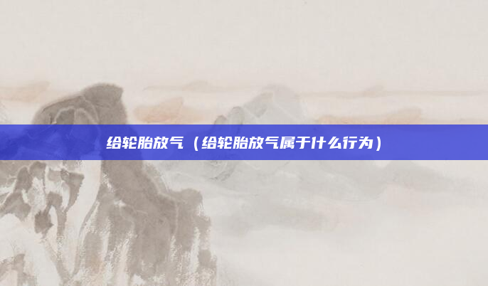 给轮胎放气（给轮胎放气属于什么行为）