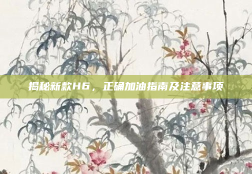 揭秘新款H6,正确加油指南及注意事项