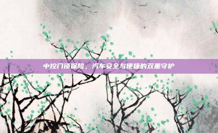 中控门锁保险,汽车安全与便捷的双重守护
