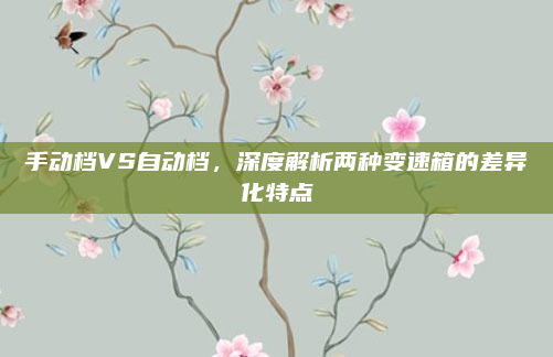 手动档VS自动档,深度解析两种变速箱的差异化特点