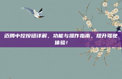 迈腾中控按钮详解,功能与操作指南,提升驾驶体验!