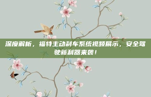 深度解析,福特主动刹车系统视频展示,安全驾驶新利器来袭!
