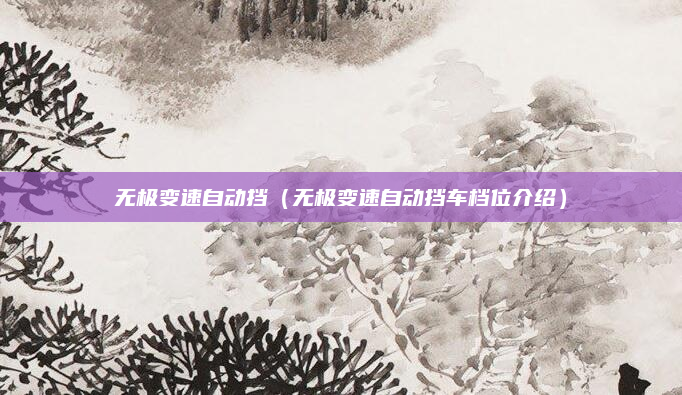 无极变速自动挡（无极变速自动挡车档位介绍）
