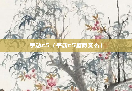 手动c5（手动c5值得买么）