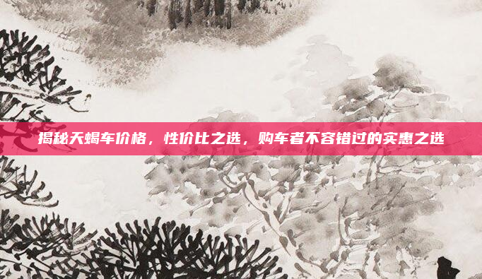 揭秘天蝎车价格，性价比之选，购车者不容错过的实惠之选
