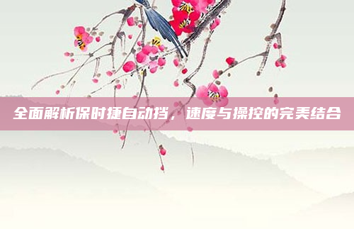 全面解析保时捷自动挡，速度与操控的完美结合