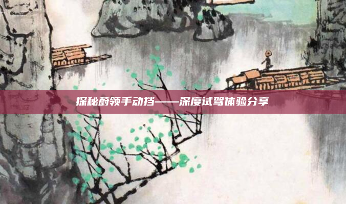 探秘蔚领手动挡——深度试驾体验分享
