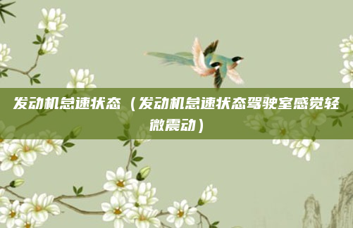 发动机怠速状态(发动机怠速状态驾驶室感觉轻微震动)