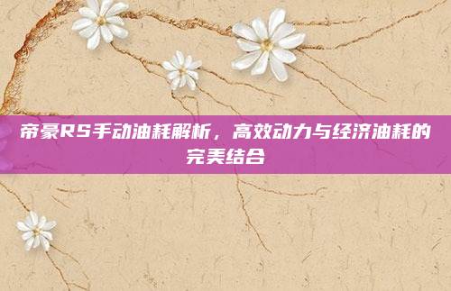 帝豪RS手动油耗解析,高效动力与经济油耗的完美结合