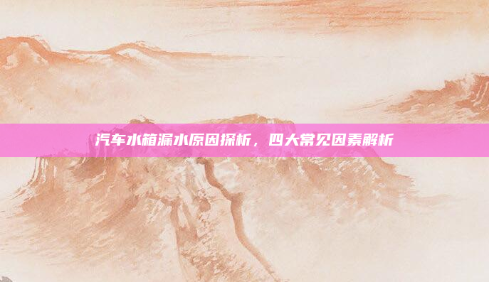 汽车水箱漏水原因探析,四大常见因素解析