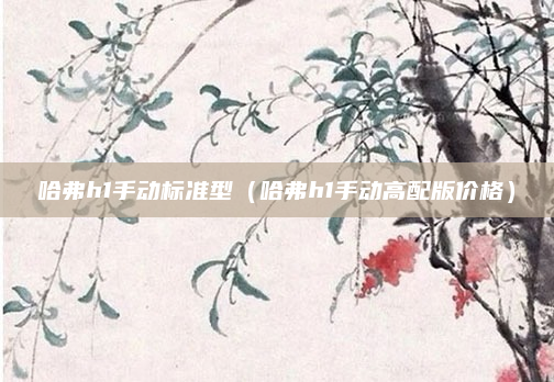 哈弗h1手动标准型（哈弗h1手动高配版价格）