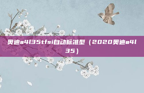 奥迪a4l35tfsi自动标准型（2020奥迪a4l35）