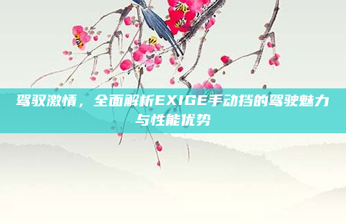 驾驭激情，全面解析EXIGE手动挡的驾驶魅力与性能优势