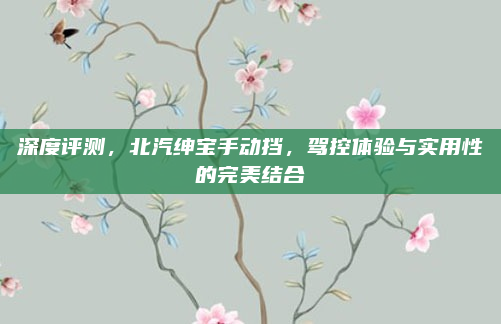 深度评测,北汽绅宝手动挡,驾控体验与实用性的完美结合