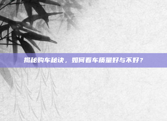 揭秘购车秘诀,如何看车质量好与不好?
