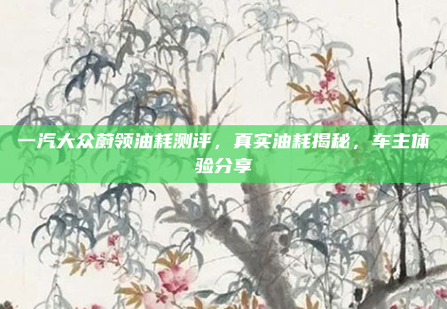 一汽大众蔚领油耗测评，真实油耗揭秘，车主体验分享