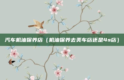 汽车机油保养店（机油保养去美车店还是4s店）