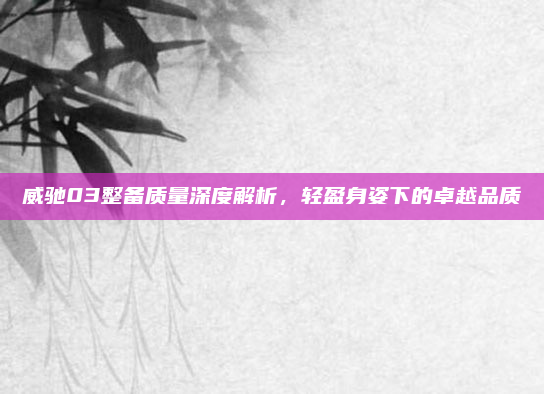 威驰03整备质量深度解析，轻盈身姿下的卓越品质