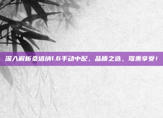 深入解析桑塔纳1.6手动中配,品质之选,驾乘享受!