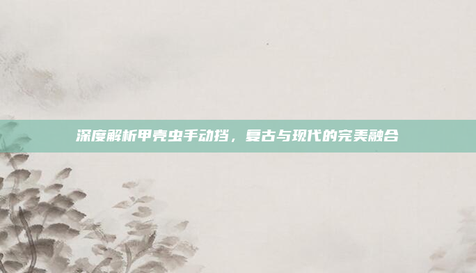 深度解析甲壳虫手动挡，复古与现代的完美融合