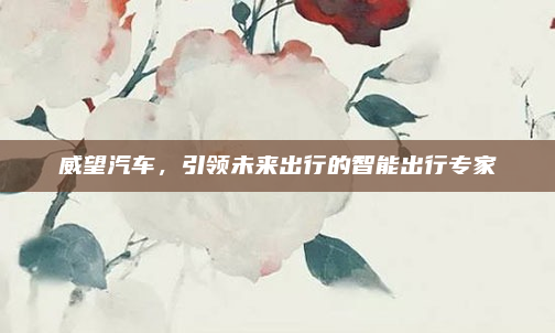 威望汽车,引领未来出行的智能出行专家