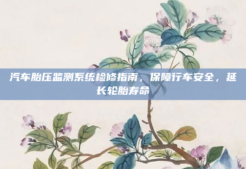 汽车胎压监测系统检修指南，保障行车安全，延长轮胎寿命