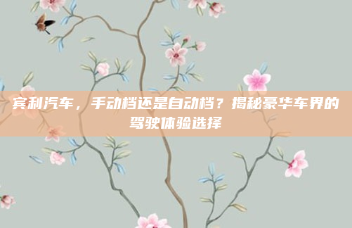 宾利汽车,手动档还是自动档?揭秘豪华车界的驾驶体验选择