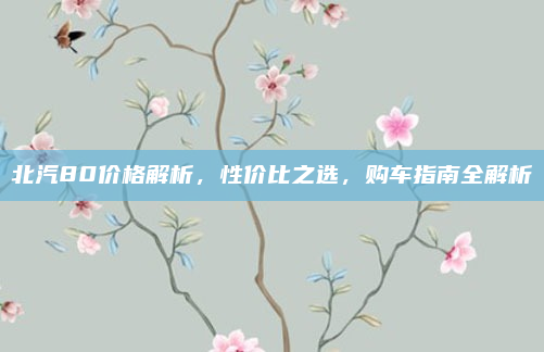 北汽80价格解析,性价比之选,购车指南全解析