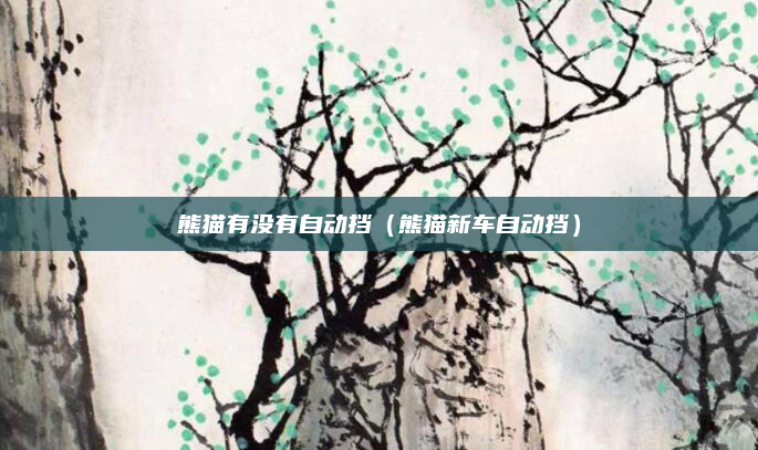 熊猫有没有自动挡（熊猫新车自动挡）