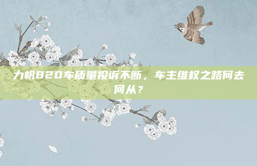 力帆820车质量投诉不断,车主维权之路何去何从?