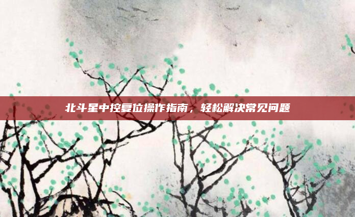 北斗星中控复位操作指南,轻松解决常见问题