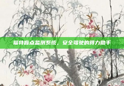 福特盲点监测系统,安全驾驶的得力助手