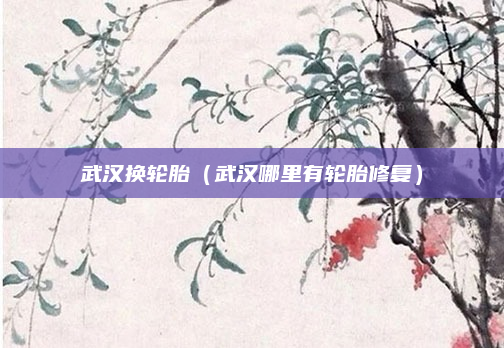 武汉换轮胎(武汉哪里有轮胎修复)
