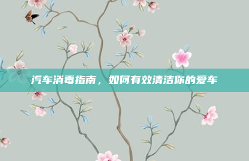 汽车消毒指南，如何有效清洁你的爱车