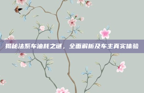 揭秘法系车油耗之谜,全面解析及车主真实体验