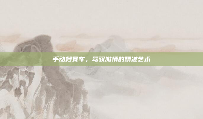 手动档赛车,驾驭激情的精准艺术