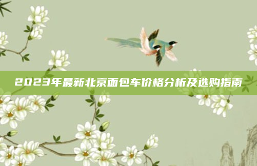 2023年最新北京面包车价格分析及选购指南