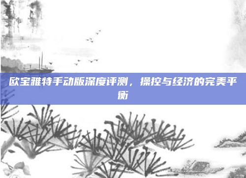欧宝雅特手动版深度评测,操控与经济的完美平衡