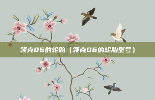 领克06的轮胎(领克06的轮胎型号)