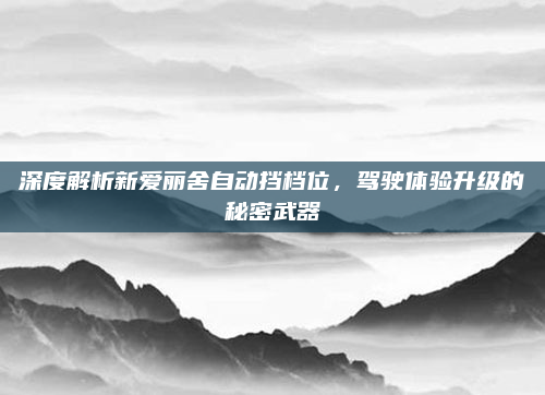 深度解析新爱丽舍自动挡档位,驾驶体验升级的秘密武器