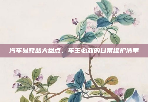 汽车易耗品大盘点，车主必知的日常维护清单