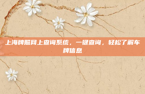 上海牌照网上查询系统,一键查询,轻松了解车牌信息