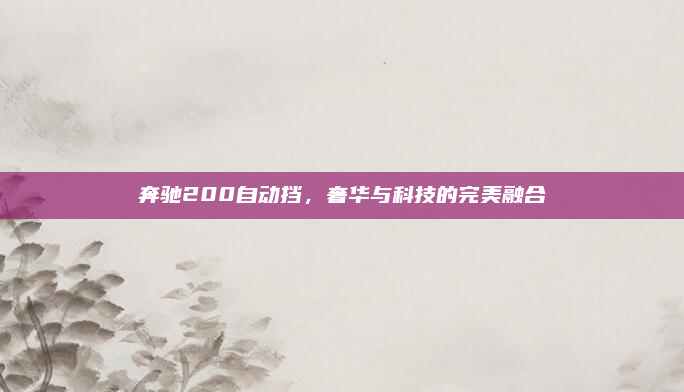 奔驰200自动挡，奢华与科技的完美融合