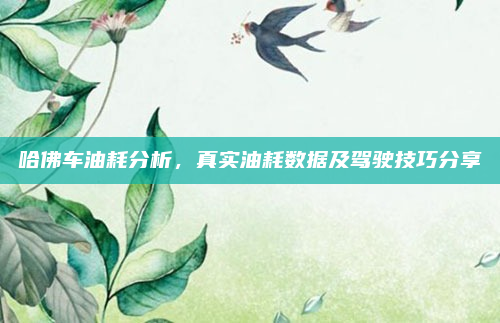 哈佛车油耗分析,真实油耗数据及驾驶技巧分享