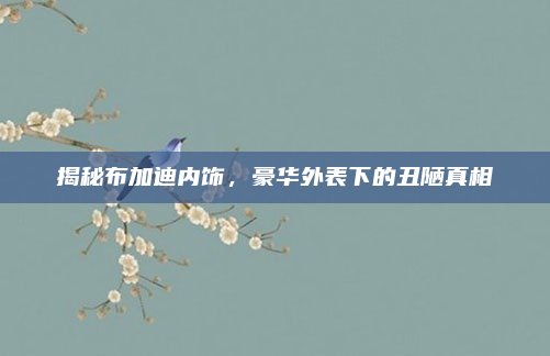 揭秘布加迪内饰，豪华外表下的丑陋真相